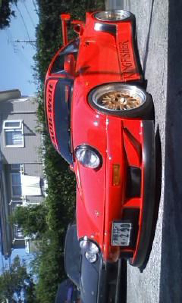 Cover image for Kingfisher