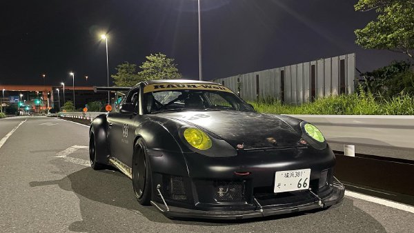 Cover image for Stealth Bird